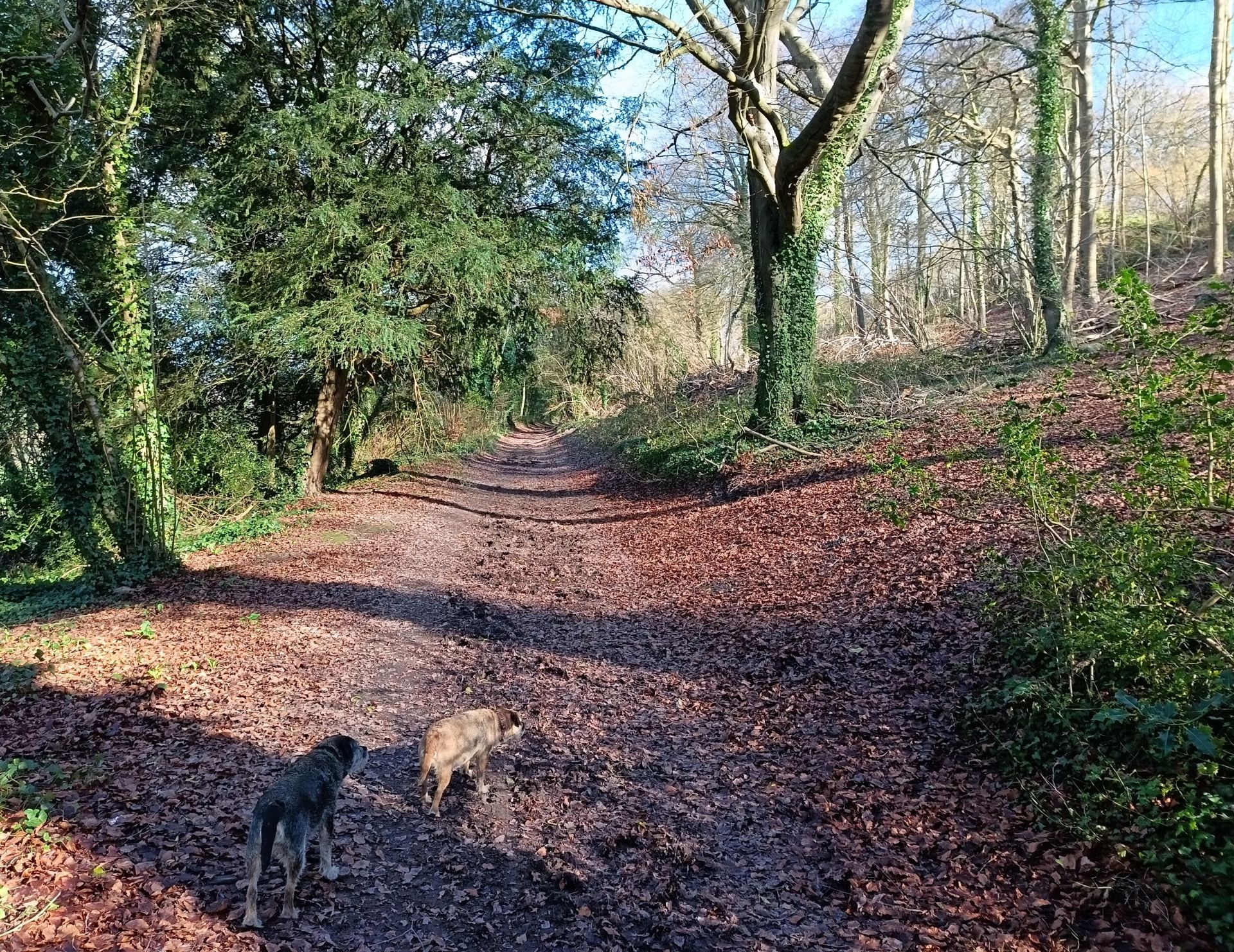East Hanger at Compton